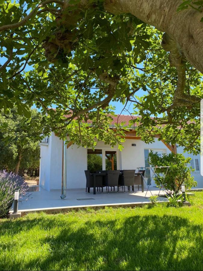 Holiday House Lucia Sukošan Buitenkant foto